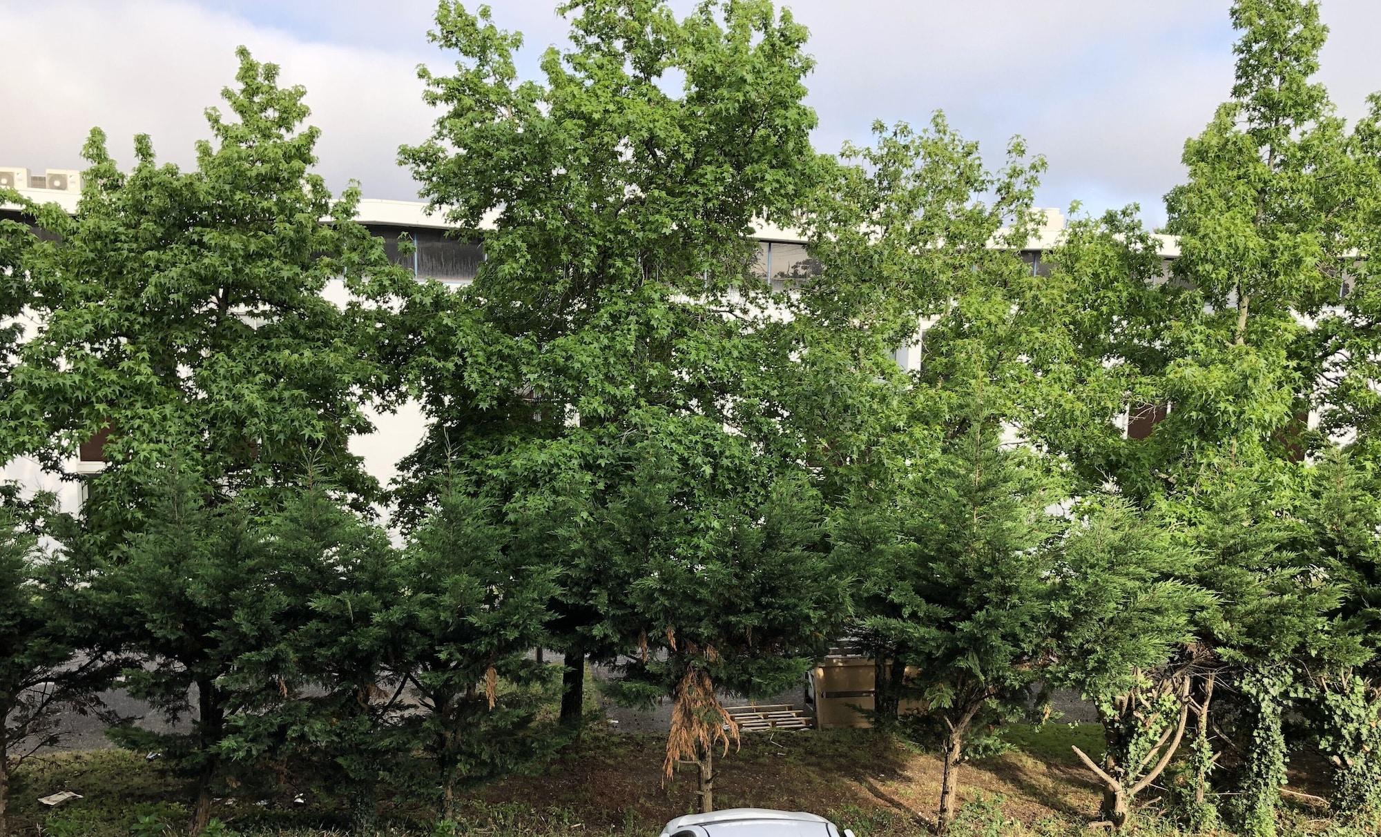 프리미어 클래스 보르도 외스트 - 메리 냑 공항 호텔 Mérignac 외부 사진